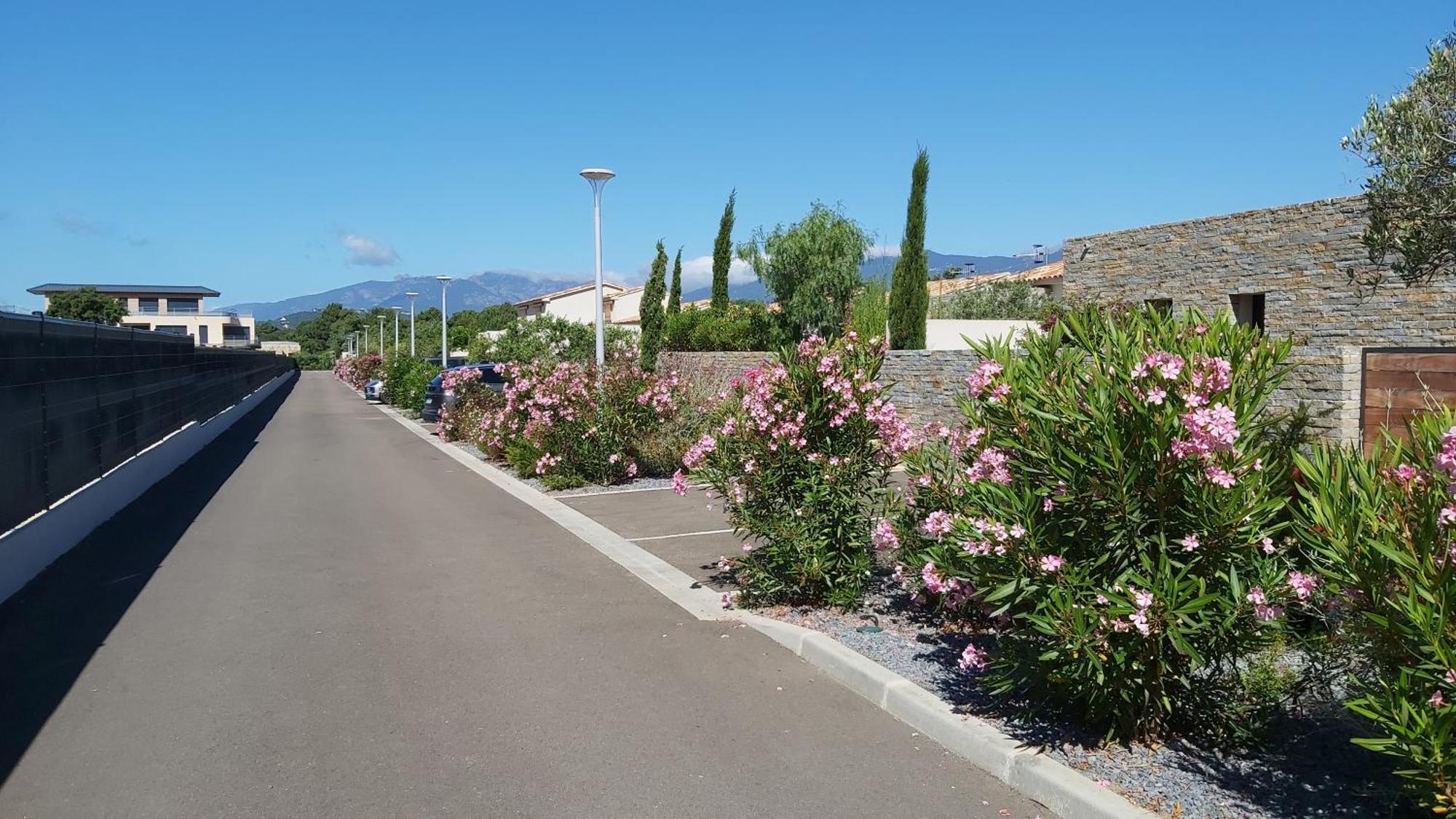 Villa Home Holiday A Cala Rossa Lecci Bagian luar foto